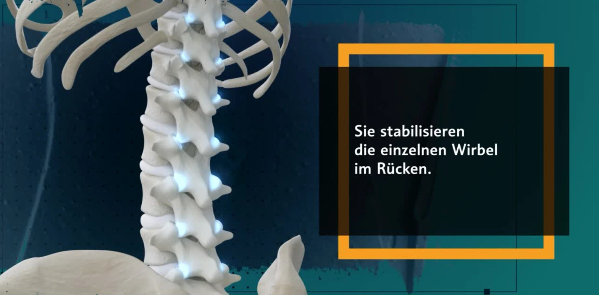 PRP Eigenbluttherapie - Erklärvideo